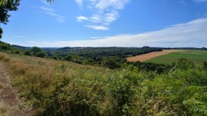 … C’est aussi un bocage magnifique.